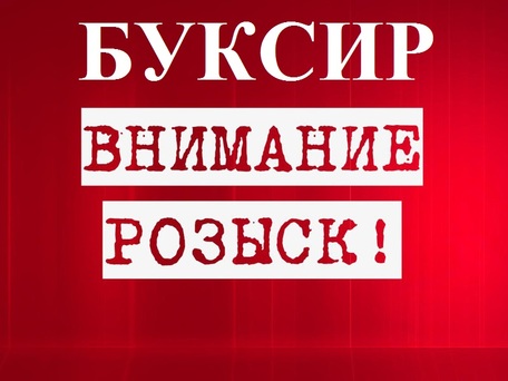 %d0%a0%d0%9e%d0%97%d0%ab%d0%a1%d0%9a_%d0%91%d0%a3%d0%9a%d0%a1%d0%98%d0%a0%d0%90